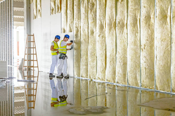 Best Eco-Friendly Insulation in New Cordell, OK